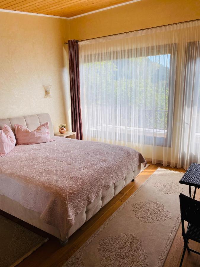 Vila Tarnita Cluj-Napoca Buitenkant foto